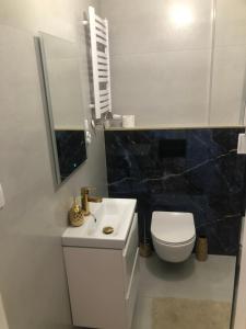 Kúpeľňa v ubytovaní Apartament Wygodny S2