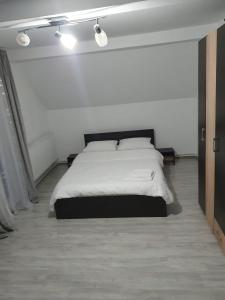 Кровать или кровати в номере Casa Sandu