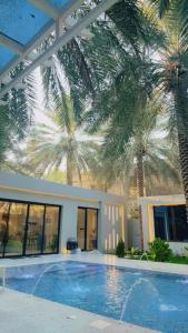 a house with a swimming pool and palm trees at لورينا شالية in Al Hofuf