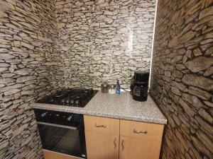 a kitchen with a stove and a stone wall at Casa Sandu in Topliţa
