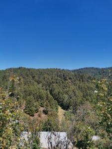 una vista desde la cima de una montaña con árboles en Casa del bosque 