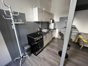 Il comprend une petite cuisine équipée d'une cuisinière et d'un évier. dans l'établissement Dave Apartman 2, à Szeged