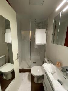 W łazience znajduje się prysznic, toaleta i umywalka. w obiekcie Le relais appartement aux charmes authentiques WIFI w mieście Périgueux