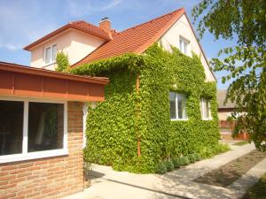 a house covered in green ivy next to a building at Vínny dom - Rumcajz - Borház in Obid