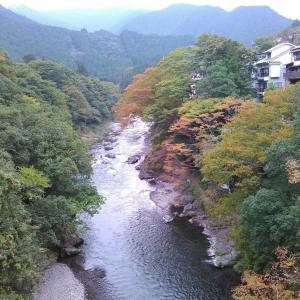 a river in the middle of a valley with trees at 駅前山小屋A-yard in Ome