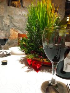 a glass of wine sitting on a table with a plant at Domaćinstvo Peković in Danilovgrad