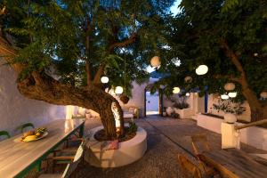 A garden outside Casa Angelina Lindian House with large garden