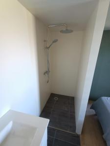 - Baño con ducha en la esquina de una habitación en Gîte Ambroise (proche Puy du fou), en La Petite-Boissière