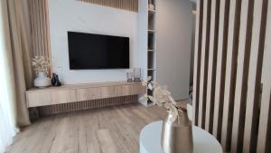 TV a/nebo společenská místnost v ubytování Apartments Tomislav