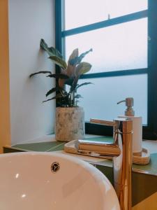 a bathroom with a sink and a potted plant at The Larch Room in Brandsby