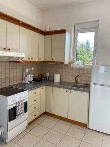 Virtuvė arba virtuvėlė apgyvendinimo įstaigoje Acrogiali Home