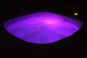 a purple bowl in the middle of a stage at Rock and chill house with jacuzzi Namur Ardennes in Namur