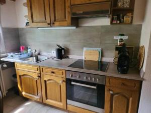 Kuchyň nebo kuchyňský kout v ubytování Ela Vital Ferienwohnung