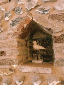 Zdjęcie z galerii obiektu Le macareux, maison de pêcheur. w mieście Saint-Valéry-sur-Somme