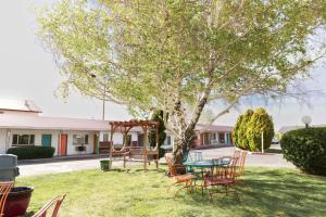 a table and chairs under a tree in a yard at Retro Inn at Mesa Verde in Cortez