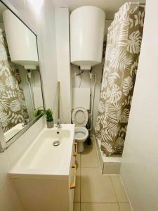 La salle de bains est pourvue d'un lavabo, de toilettes et d'un miroir. dans l'établissement Superbe appartement 2 chambres, à Évry-les-Châteaux