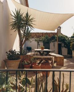 Kawasan patio atau luaran di Finca Serrato