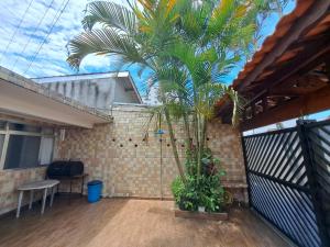 eine Palme auf einer Terrasse mit einem Zaun in der Unterkunft Recanto dos Amigos in Praia Grande