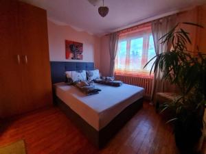1 dormitorio con cama, planta y ventana en Ubytovanie Klinger - chata nad jazerom, en Banská Štiavnica