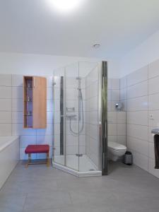 a bathroom with a shower and a toilet at Ferienwohnung Hochwald 1 in Losheim