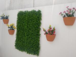アルヴォルにあるCasa dos avósの鉢植えの蔦の看板