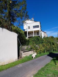 a cat sitting in the grass in front of a house at gite du chateau de champlitte in Champlitte-et-le-Prélot
