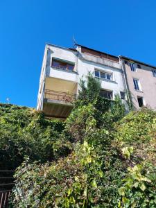 a building on top of a hill with plants at gite du chateau de champlitte in Champlitte-et-le-Prélot