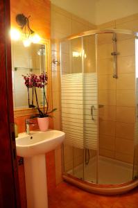 uma casa de banho com um chuveiro, um lavatório e um chuveiro em Alkionides Villas em Xerokampos