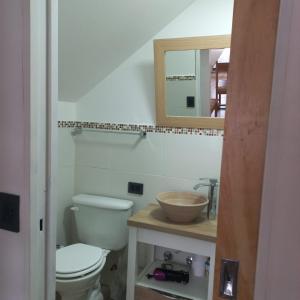USHUAIA FOR´NS في أوشوايا: حمام مع مرحاض ومغسلة ومرآة