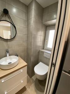 a bathroom with a toilet and a sink and a mirror at Le Coeur du Port de Golfe Juan - Parking - Clim - Wifi in Vallauris +4 photos