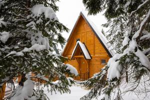 eine Holzhütte im Schnee mit schneebedeckten Bäumen in der Unterkunft ZlatAir Eco Chalet in Nova Varoš