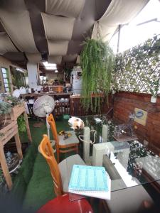 un chien dormant sur une table dans une pièce avec des plantes dans l'établissement 717 Pizarro guesthouse, à Trujillo