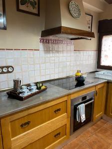 Η κουζίνα ή μικρή κουζίνα στο La Rinconada +32 φωτογραφίες