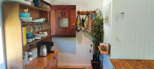 a kitchen with a counter and a shelf with dishes at Woodmans Cottage 24, Gold Coast Hinterland in Wongawallan