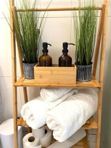 エストリルにあるEstoril Top Beach Apartmentの石鹸2本と植物が置かれた木製の棚