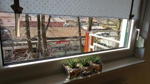 a window with two plants sitting on a window sill at Apartment Alvarium in Kobarid