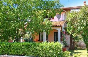a house with trees and bushes in front of it at Apartment with pool Adria in Marčana
