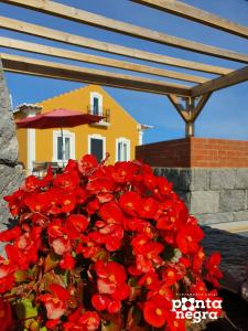 Un mazzo di fiori rossi davanti a una casa di Casa das Lajes a Caldeira