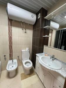 a bathroom with a toilet and a sink at Apartment Kolar in Bar