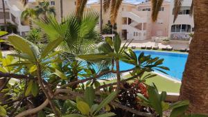 Bazén v ubytovaní Chayofa Paraiso, apartamento Tenerife Sur alebo v jeho blízkosti