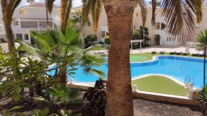 Bazén v ubytovaní Chayofa Paraiso, apartamento Tenerife Sur alebo v jeho blízkosti