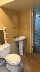 a bathroom with a toilet and a sink at The McNeil Mansions in Harrisburg +17 photos