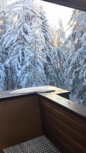 een raam met uitzicht op een met sneeuw bedekte boom bij Borovets Chalets in Borovets