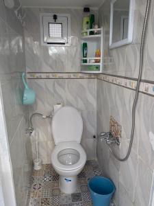 a small bathroom with a toilet and a shower at Ibn Batouta House in Tangier