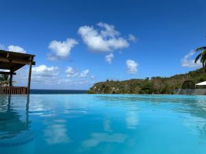 una piscina con el océano en el fondo en Hotel El Guajataca en Quebradillas