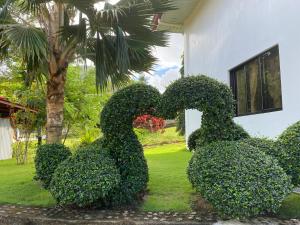 a bush shaped like two swans in front of a house at Tongatok Cliff Resort in Mambajao