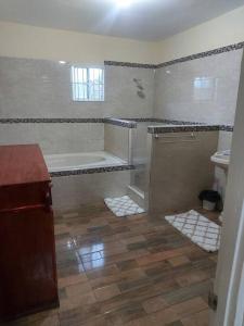 bagno con vasca e lavandino di Alluring 1 Bedroom Penthouse Suite/ Priv. Terrace a Kingston