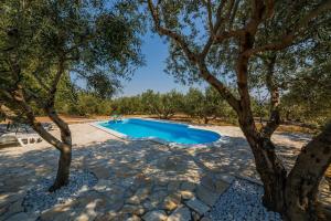 Bazén v ubytování Luxury private villa complex with pool and jacuzzi nebo v jeho okolí