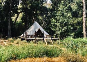 a tent with a white roof in a field at Garden Beds Glamping in Blackwood