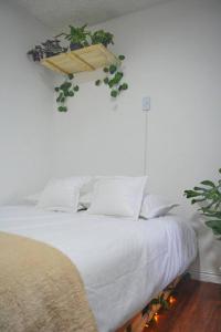1 dormitorio con 1 cama con plantas en la pared en Acogedor apartamento cerca al movistar arena, en Bogotá